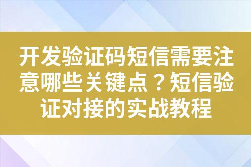 開發(fā)驗證碼短信需要注意哪些關(guān)鍵點？短信驗證對接的實戰(zhàn)教程
