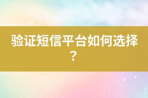 驗證短信平臺如何選擇？